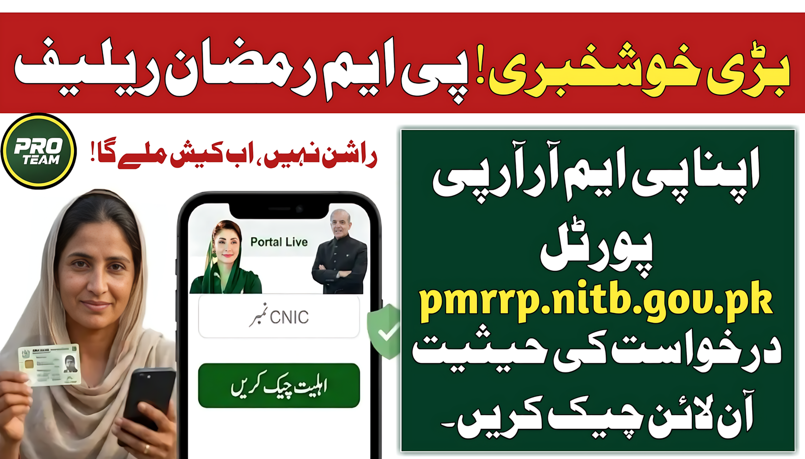 PMRRP Portal pmrrp.nitb.gov.pk Application Status