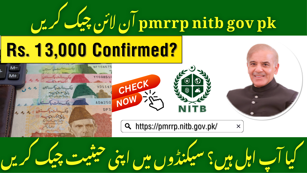 pmrrp nitb gov pk Check Online